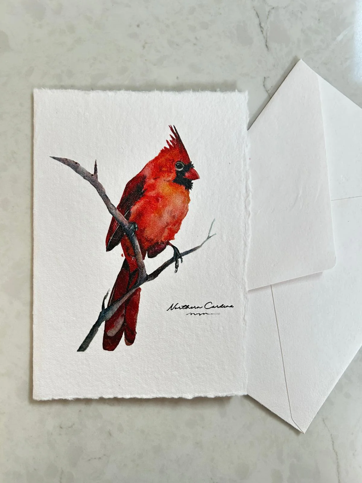 Handmade Deckle Edge Blank Greeting Cards & Envelopes with Bird Art - 300 GSM – 20 Cards (5 Each of 4 Varieties) – 5x7" - Image 4