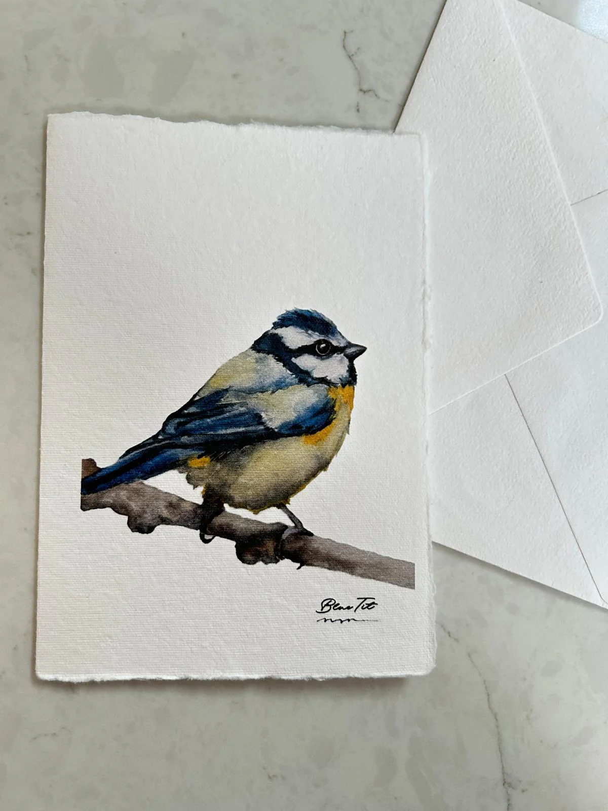 Handmade Deckle Edge Blank Greeting Cards & Envelopes with Bird Art - 300 GSM – 20 Cards (5 Each of 4 Varieties) – 5x7" - Image 5