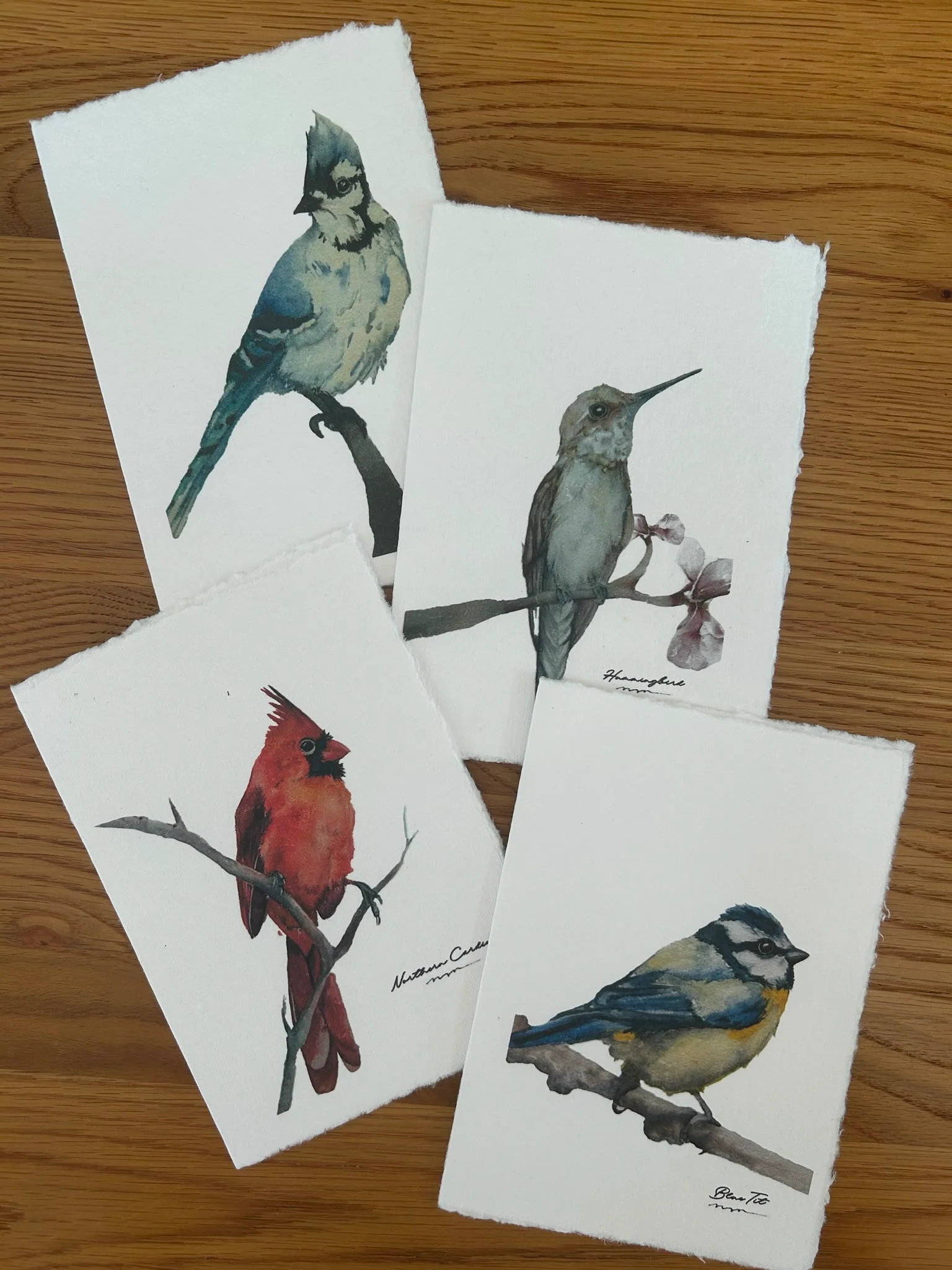 Handmade Deckle Edge Blank Greeting Cards & Envelopes with Bird Art - 300 GSM – 20 Cards (5 Each of 4 Varieties) – 5x7" - Image 7