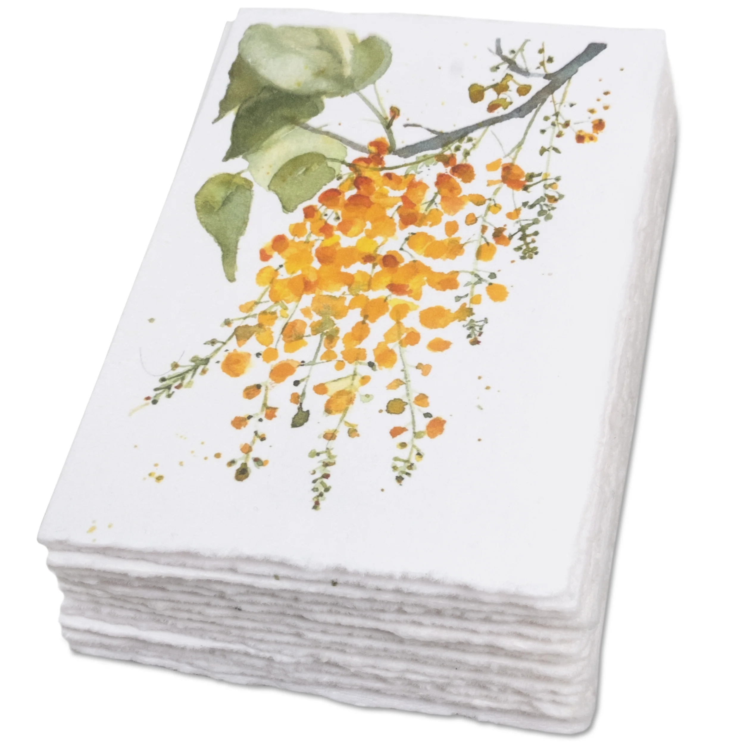 Handmade Deckle Edge Greeting Cards & Envelopes with Flower Art - 300gsm – 20 Cards (5 Each of 4 Varieties) - 5x7 - Image 3